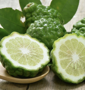 Bergamot | Top Summer Fragrance Notes 